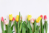 Fototapeta Tulipany - Border of fresh tulips on a white background. Copy space.  Spring flowers. Colored tulips, Lovely tulip flowers composition. Valentines Day or Mothers day. International Womens Day March 8.