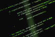 © PaulPaladin - Programming code background