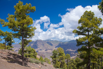 Gran Canaria, March