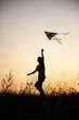 © Chepko Danil - boy playing kite on summer sunset meadow silhouetted