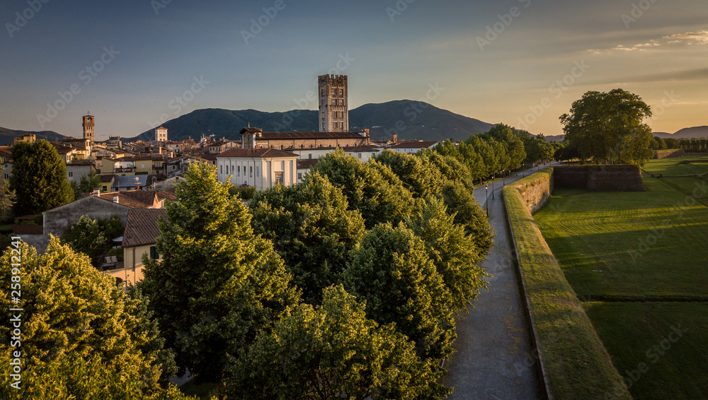 Aerial view of Lucca, Tuscany, Italy - obrazy, fototapety, plakaty 