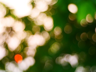 morning bokeh light background