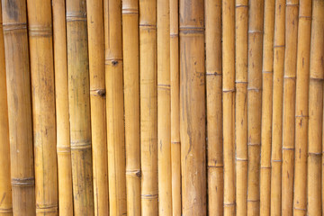  Bambusowa Tekstura
