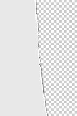 Wall Mural - Teared from top to bottom vertical sheet of white paper with transparent background. Vector paper template.