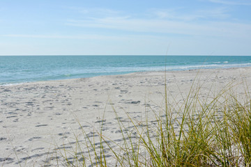 Tropical white sand beach on the gulf coast of Florida near St. Petersburg