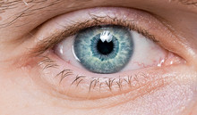 Blue Eye Macro Close-up 