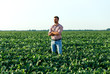 © Zoran Zeremski - Portrait of young farmer standing in filed examining soybean corp.