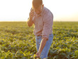 © Zoran Zeremski - Young farmer standing in filed examining soybean corp and talking at phone.