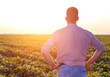 © Zoran Zeremski - Rear view of young farmer standing in filed examining soybean corp at sunset.