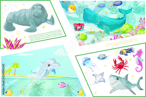 Sea Animals And Underwater Life Concept