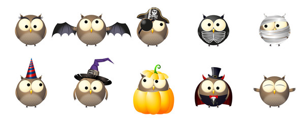 Wall Mural - Halloween owls in fancy dresses/ costumes