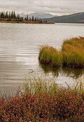 Canvas Print - Beautiful pristine lake in fall colors in Denali National Park.