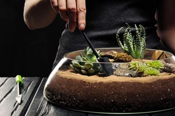 Two women's hands are caring for a small garden with tropical plants, succulents and sand in a glass pot. Gardener's tools.