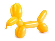 Yellow Twisted Balloon Dog Isolated On White Background.