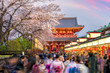 Tourists at shopping street in Asakusa connect to Sensoji Temple, Tokyo Japan with sakura trees