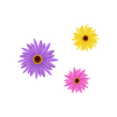 Wall Mural - Colored flowers on white background. Vector flat illustration.