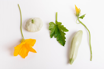 Wall Mural - fresh green zucchini with slice isolated on white background