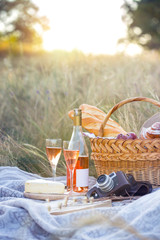 Picnic in the meadow