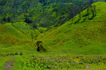 Scenic Green grass field view of rolling countryside green farm fields