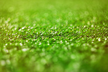 Blurred Green Grass With A Narrow Focus Bar At The Center Of The Frame