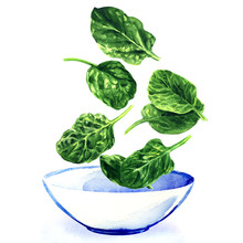 Fresh Green Leaves Of Spinach Falling Into White Bowl Of Salad, Hand Drawn Watercolor Illustration On White Background
