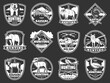 Animals hunting club, hunt open season icons