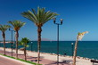 palm trees on the seafront loreto Baja California mexico