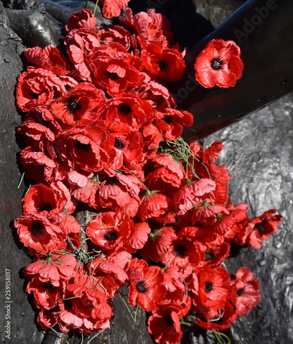 Plastic Red Poppies The Red Poppy Has Become A Symbol Of War Remembrance Anzac Day The World Over Buy This Stock Photo And Explore Similar Images At Adobe Stock Adobe Stock Plastic Red Poppies The Red Poppy Has Become A Symbol Of War Remembrance Anzac Day The World Over Buy This Stock Photo And Explore Similar Images At Adobe Stock Adobe Stock