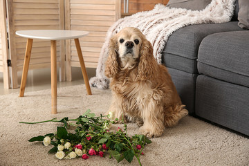 Canvas Print - Naughty dog and dropped vase with flowers on carpet