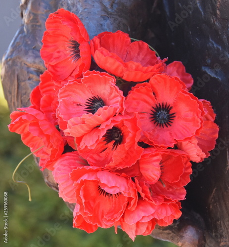 Plastic Red Poppies The Red Poppy Has Become A Symbol Of War Remembrance Anzac Day The World Over Stock Photo Adobe Stock