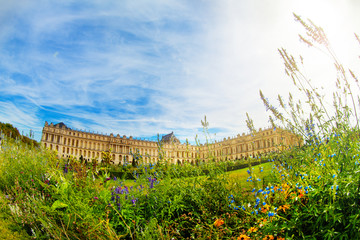 Wall Mural - Versailles Palace with flowering park in France