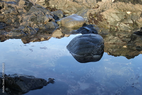 Fotografía REFLET A MAREE BASSE ROCHER 2