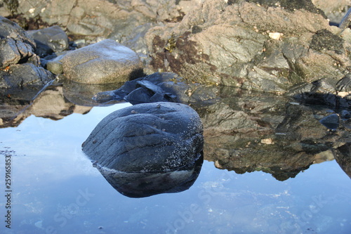 Fotomural REFLET A MAREE BASSE ROCHERS 1