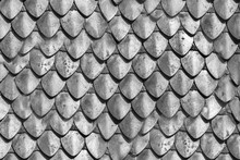 Stell Armour Seamless Element Made Of The Steel Plates. Knight Protection Suite