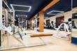 © Yakov - New fitness machines in modern gym interior