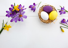 Purple Crocuses And Easter Eggs In The Nest Isolated On White Wood Background.