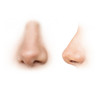 human nose reference images
