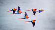 © NaturePL - Flock of scarlet macaw flying in sky