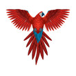 Colourful macaw parrot - multicoloured isolated flying bird - realistic and detailed illustration -  symmetrical design