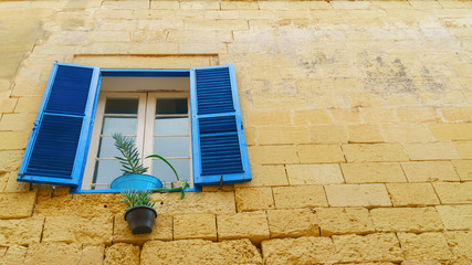 Green plants in blue and brown pots in mediterranean shutter window on yellow brick wall. Copy space.