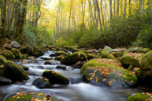 Small White Water Stream In The Smoky Mountains Fall.
