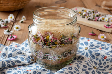 Wall Mural - Preparation of common daisy syrup from fresh daisy flowers