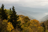 Fototapeta Na ścianę - Mountain peak in The Smokies in fall colors.