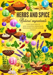 Wall Mural - Spices and herbs high in vitamins and minerals