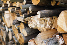 Dry Chopped Firewood Of Solid Pine And Birch Wood In A Pile.