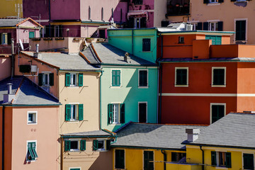 Wall Mural - Genoa, Italy: colorful houses in Boccadasse, a small fishermen village