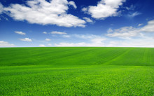 Field And Blue Sky With White Clouds