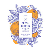 Citrus Summer Vertical Design Template. Engraved Botanical Style Illustration. Vector Illustration