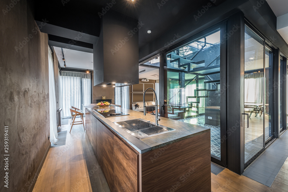 Kitchen interior in modern luxury penthouse apartment Stock Photo ... - Luxurious Penthouse Apartment Kitchen Appliances