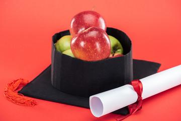 Wall Mural - Academic cap with apples and diploma on red surface